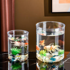 Bouteille hydroponique créative Plantes <span class=keywords><strong>Vase</strong></span> transparent Pot de fleur vert Co-Culture Réservoir Arrangement <span class=keywords><strong>aquatique</strong></span> Navire - Product Image 4