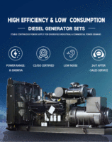 Groupe électrogène diesel 220 kVA avec capot de protection contre les intempéries, puissance de pointe et de secours disponible, générateur à enroulement tout cuivre