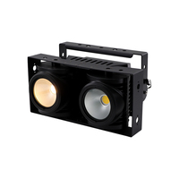 IP65 étanche 2-Eyes 100W COB LED projecteurs blanc et blanc chaud et blanc froid 2in1 lumière d'audience pour l'application de paysage