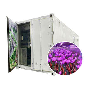 365 giorni 20ft zafferano contenitore di allevamento isolato Container di spedizione idroponico sistema di agricoltura verticale zafferano - Product Image 1