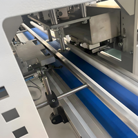 Machine de découpe automatique haute efficacité pour bouteilles en plastique PE, PP, PET, HDPE, films et emballages en feuille – Utilisation facile, haute précision