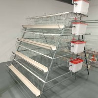 Cage à batterie automatique de type A pour volailles avec système d'alimentation et d'évacuation des excréments