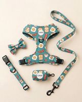Ensemble de harnais pour chien anti-traction personnalisé, collier rembourré doux, laisse et harnais de qualité supérieure pour chien, distributeur de sacs à déjections canines, accessoires pour animaux de compagnie