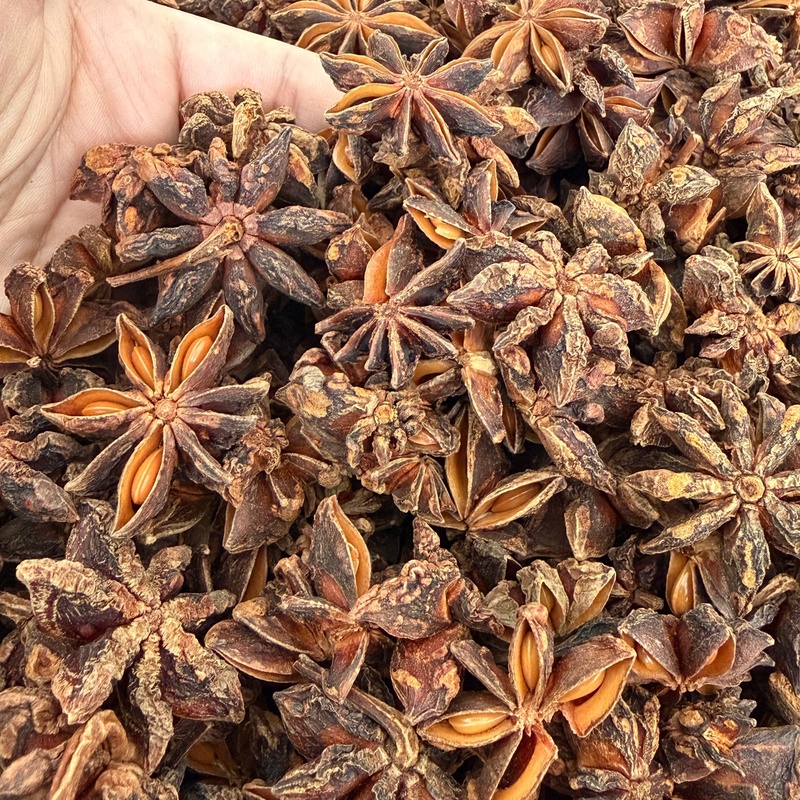 China Star Anise Spice Blended Powder