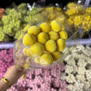 Matériaux de bricolage faits à la main en gros : Fleurs séchées, boules dorées, fleurs de Craspedia colorées préservées pour décorations de mariage - Product Image 5