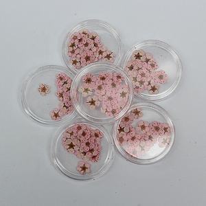 M043 20Pcs Mini Premuto Piccolo <span class=keywords><strong>Daffodil</strong></span> Fiori Sul Chiodo Secchi Premuto Daffy Fiori Per Arte Del Chiodo Della Resina di Pedicure del Manicure decor - Product Image 4