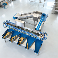 Multifunctionele doospoten-gewichtsorteerder voor fruitverwerkingslijn met lift, 3-7 aangepaste sorteerstanden & 1 jaar garantie