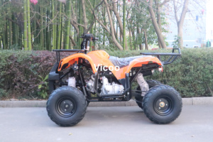 <span class=keywords><strong>Quad</strong></span> 4x2 à essence 125cc 2RM automatique à transmission par chaîne 4 temps pour adultes, modèle 2026, directement de l'usine, <span class=keywords><strong>pas</strong></span> <span class=keywords><strong>cher</strong></span> - Product Image 2