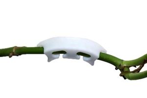 200 pièces tomates jardinage pinces <span class=keywords><strong>de</strong></span> retenue tomates cerises tomate tige Support Clip oreille Clip demi-cercle renforçant nouveau matériel - Product Image 2