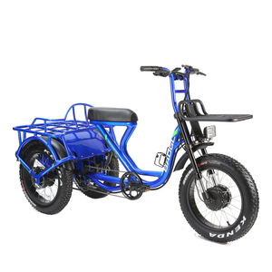 Bicicleta Asistida de 7 Velocidades para Entrega de Pizza a Domicilio, Triciclo de 3 Ruedas para Reparto - Product Image 2