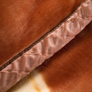 Couverture en velours Raschel épaisse et moelleuse, taille Queen, tricotée sur mesure, style coréen, en polaire, pour l'hiver, vente en gros - Product Image 5