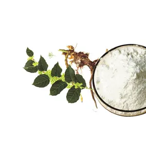 Free Sample Botanical Plant Giant Knotweed Extract 98% Trans Resveraltrol Powder GMP Factory