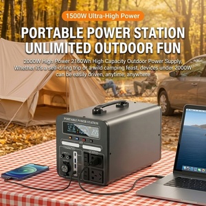 Centrale Électrique Solaire Portable 110V 1000W pour Camping Extérieur, Alimentation d'Urgence 220V pour Camping en Plein Air - Product Image 3