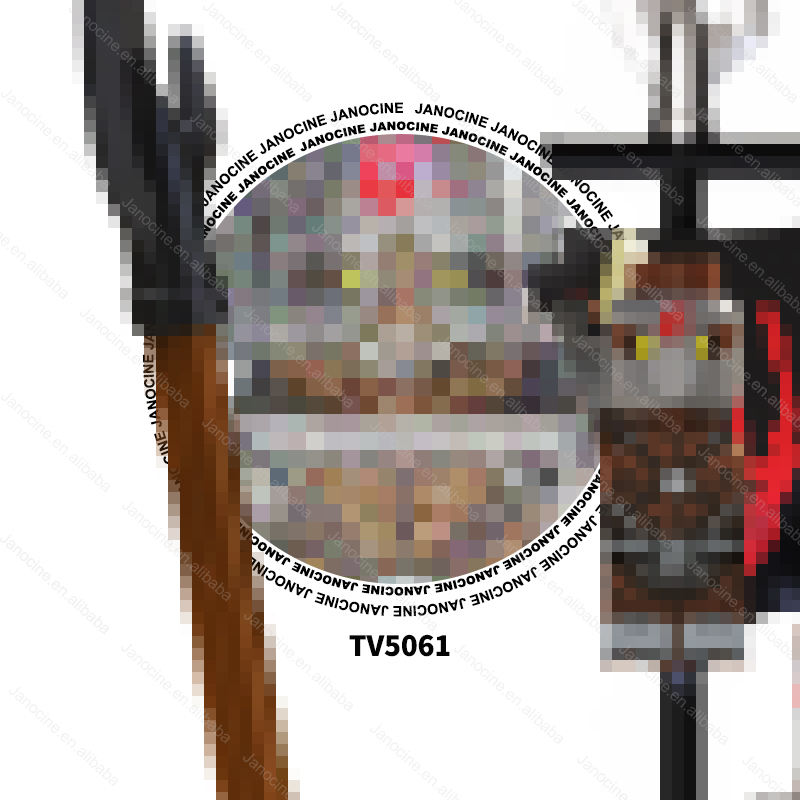 ทีวี5061