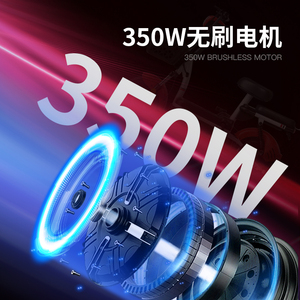 Yadi Mavericks nuovo giorno stesso <span class=keywords><strong>bicicletta</strong></span> elettrica <span class=keywords><strong>uomo</strong></span> e donna telaio in acciaio sensore mozzo posteriore motore 48V 350W Brushless leggero - Product Image 2