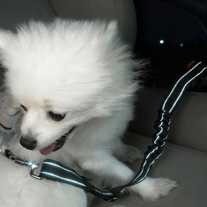 Vente en gros usine SORADD SRD-682 – Laisse de sécurité rétractable et réglable pour animaux de compagnie, certifiée ISO9001, écologique, robuste et durable - Product Image 5