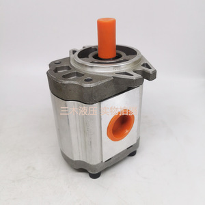 Pompe à engrenages hydraulique Luosheng CBTD-F425 ALH4L 250 bars, 1 étage, entraînement électrique - Product Image 3