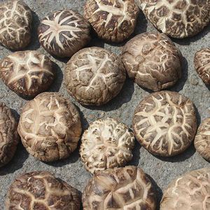 Nấm khô hữu cơ chất lượng cao, bán buôn số lượng lớn, dùng để nấu ăn - Product Image 3