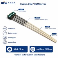Thermocouple à vide en métal précieux de type S BSYB 0-1800 °C avec tube de protection en corindon S/R/B