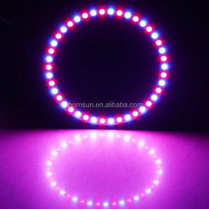 Giá thấp LED Pixel Vòng ánh sáng RGB SMD5050 90 mét Halo Ring - Product Image 5