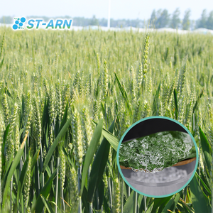 Poudre Polym Hidrogel cristaux de gel d'eau agro biodégradables utilisés pour la culture de l'arachide et du maïs - Product Image 4