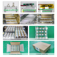 Batterie au lithium-ion polymère Enerforce 3,7 V 5000 mAh 115570 pour outils électriques