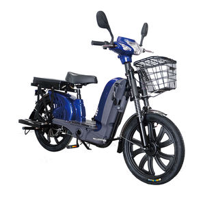 Bici Elettrica da Carico a Lunga Autonomia 350W, Motocarro Elettrico per Adulti - Product Image 4