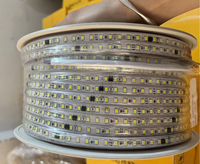 Prix d'usine Bande LED AC220V 2835 120leds/m 100M 12W IP67 3000k 4000k 6500k Blanc Étanche Dimmable Flexible Bande LED Lumineuse