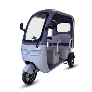 <span class=keywords><strong>Tricycle</strong></span> électrique HLD longue portée 40 km, 650 W, 48 V, 20 Ah, 3 places, phare LED, pneus sans chambre à air, vélo électrique à 3 roues pour la ville et l'usage quotidien - Product Image 6