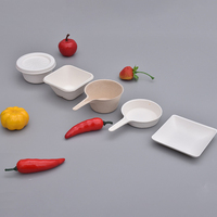 Assiettes à sauce et à gâteaux jetables en bagasse, forme unique, compostables écologiques, pour la présentation de desserts de banquet, la décoration de table de fête à thème