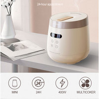 Mini cuiseur de riz intelligent numérique 2023 2L de style coréen avec fonction de maintien au chaud à faible teneur en sucre, nouveauté 1.2