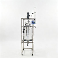 Réacteur à Cavitation Ultrasonique 20L Haute Intensité pour Processus Chimiques, Cuve de Réaction en Verre Borosilicate avec Moteur