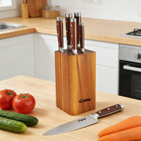 Ensemble de 6 couteaux de cuisine de boucher en acier inoxydable de qualité avec manche en plastique, bloc en bois, ambidextres, à lame festonnée
