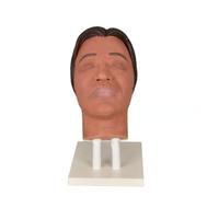 Modèle d'enseignement médical pour la pratique des injections esthétiques - Visage féminin africain/asiatique