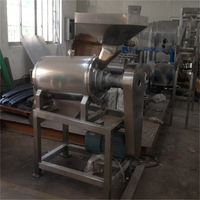 Volledig automatische mangopuree verwerkings-, schil- en pasteurisatie-installatie 2026, 304 roestvrij staal, capaciteit 3-8T/H mangopulp