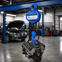 Palans manuels à prix d'usine, capacité 2T, levée 6 m, chaîne de charge de grade 80 pour travaux de levage et d'agrandissement en usine et garage