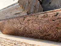 Dalle de granit Dragon de Californie de luxe, rose beige, veines grises ondulées, pierre naturelle polie pour plan de travail de cuisine et projet de meuble-lavabo