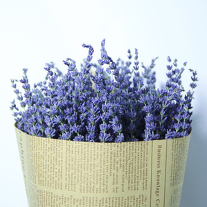 Flor de lavanda seca Natural, lavanda preservada, flor de larga duración para eventos y decoración del hogar - Product Image 5