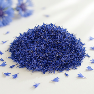 Best Quality Pure Blue Cornflower From India - Product Image 1