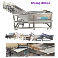 1 ~ 5T Automatische Verse Uiendroogsortering Sorteerlijn Industriële Sjalot Uien Wasmachine Reiniger Dunschiller Sorteermachine