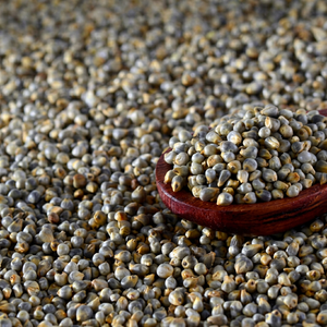 Millet perlé en gros - Product Image 1