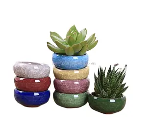 Commercio all'ingrosso a buon mercato nuovo regalo di Design incrinato ghiaccio diviso vasi da fiori in ceramica a buon mercato