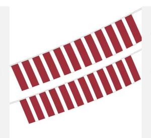 Ireland <strong>String</strong> <strong>Flag</strong> Wholesale All Country Hanging <strong>String</strong> <strong>Flag</strong> Sports Events Bunting Banner Decorative - Product Image 3