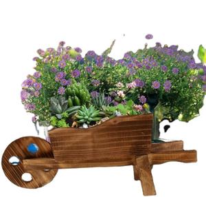 Chariot <span class=keywords><strong>en</strong></span> <span class=keywords><strong>bois</strong></span> Pot de fleurs créatif combinaison charnue support de Pot de plante; décoration de jardin ornementale <span class=keywords><strong>brouette</strong></span> planteur jardin <span class=keywords><strong>bois</strong></span> - Product Image 1