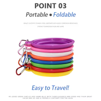 Dernier modèle de gamelle pliable double en silicone écologique, moderne, étanche et portable pour chiens, chats et petits animaux d'extérieur