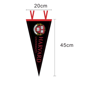 Banderines y Banderas Personalizados para Equipos Deportivos Universitarios, Banderas Decorativas Hechas a Medida, Decoración con Espíritu Escolar - Product Image 2