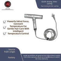 Sèche-cheveux électrique professionnel de type T pour salon de coiffure, température constante, protection des cheveux, lumière bleue, fonctionnement silencieux, forte puissance de ventilation