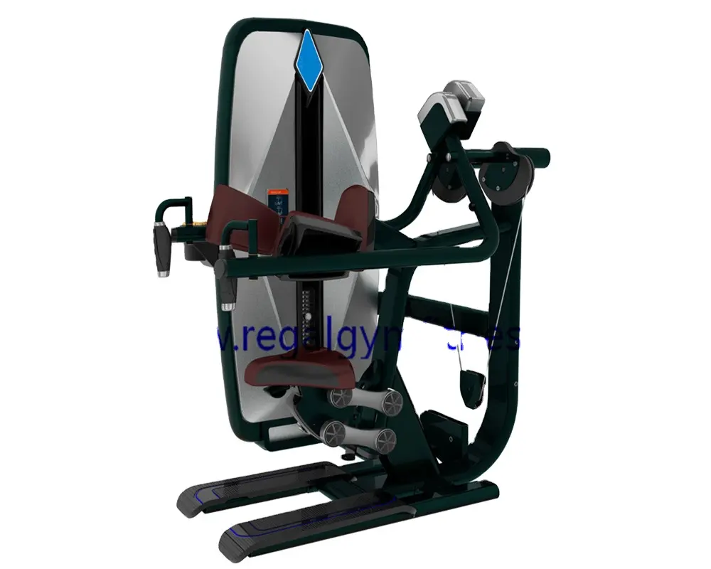 새로운 제품 최고의 체육관 기계 사용 삼각근 기계 수입 스포츠 장비