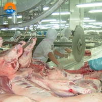 Ligne d'abattage de porcs ZBHT, équipement d'abattage de porcs vivants, prix d'usine, machinerie d'abattoir pour abattoir de petite taille