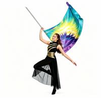 Drapeau de protection personnalisable aux couleurs vives 36"x54" rectangulaire incurvé pour studio de danse, camp d'été artistique, entraînement